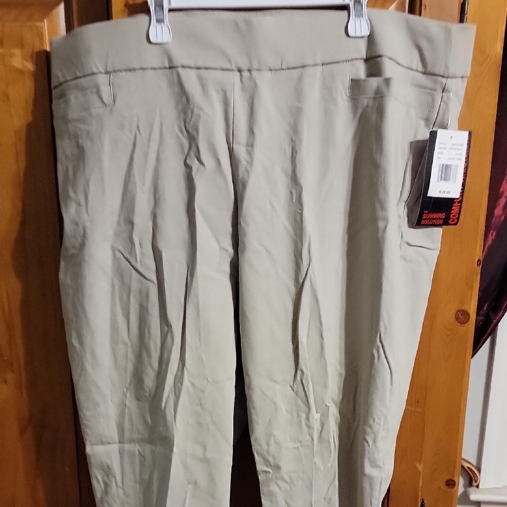 Briggs New York Light Tan Pants